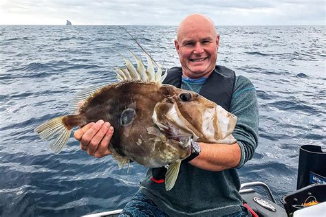 John Dory is a .